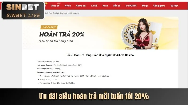 Ưu đãi và khuyến mãi hấp dẫn nhất từ ku393